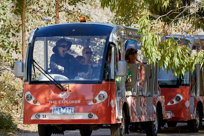 Full-Day Penguins and Wildlife Nature Experience from Melbourne - Watching the little penguins return