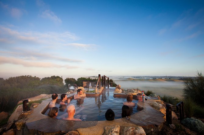 Full-Day Penguins and Wildlife Nature Experience from Melbourne - Guides can shape the whole day