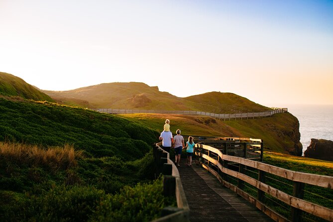 Full-Day Penguins and Wildlife Nature Experience from Melbourne - Moonlit Sanctuary: the strongest part of the day