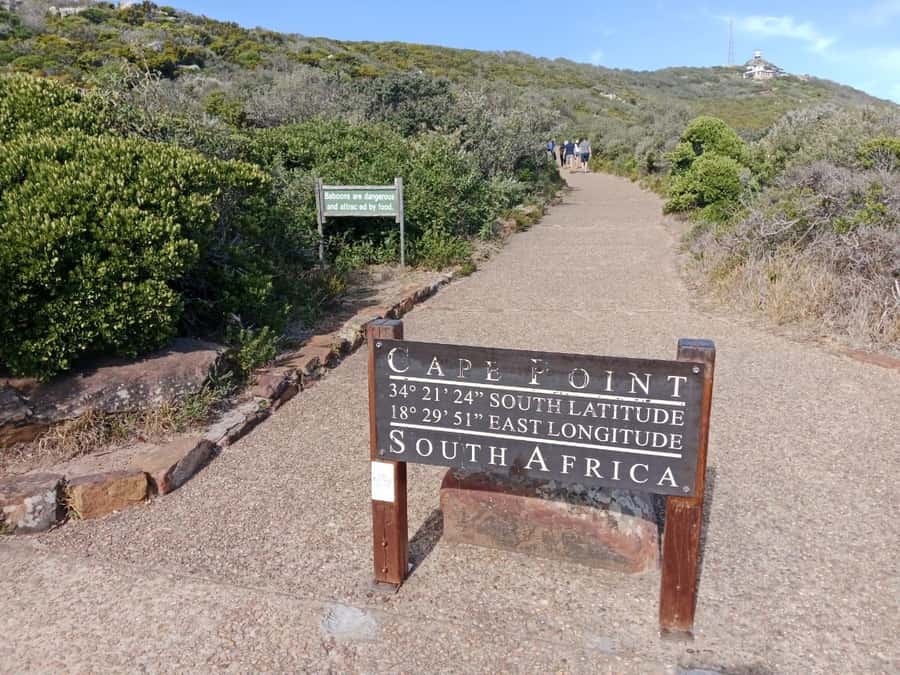 Full-Day Private Excursion: Cape of Good Hope and Penguins - Key points to know before booking