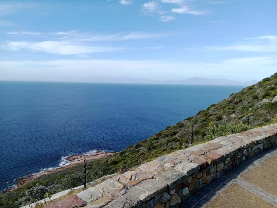 Full-Day Private Excursion: Cape of Good Hope and Penguins - Boulders Beach puts African penguins up close