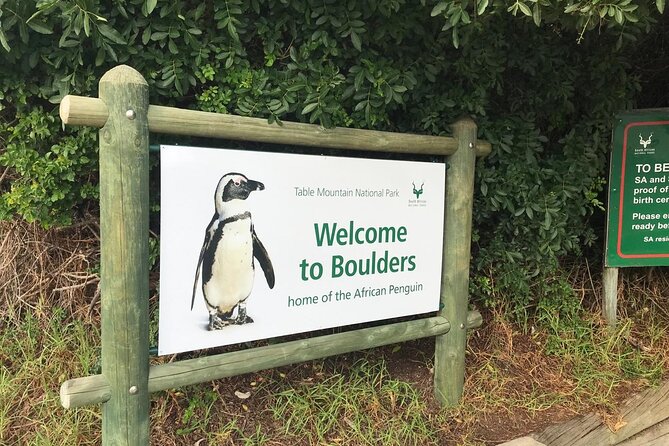 Full Day Private Tour of the Cape Peninsula and Boulders Penguins - Chapman’s Peak is a highlight from the passenger seat