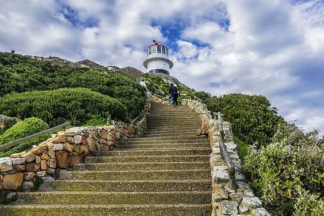 Full Day Private Tour of the Cape Peninsula and Boulders Penguins - Hout Bay adds a working harbour feel