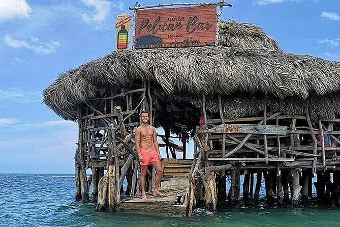 Full-Day South Coast - YS Falls, Pelican Bar & Black River Safari - The drive matters as much as the stops