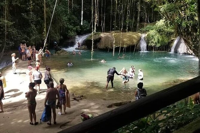 Full-Day South Coast - YS Falls, Pelican Bar & Black River Safari - What the $250.99 price really covers