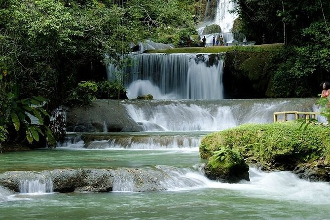 Full-Day South Coast - YS Falls, Pelican Bar & Black River Safari - Who will enjoy this tour most