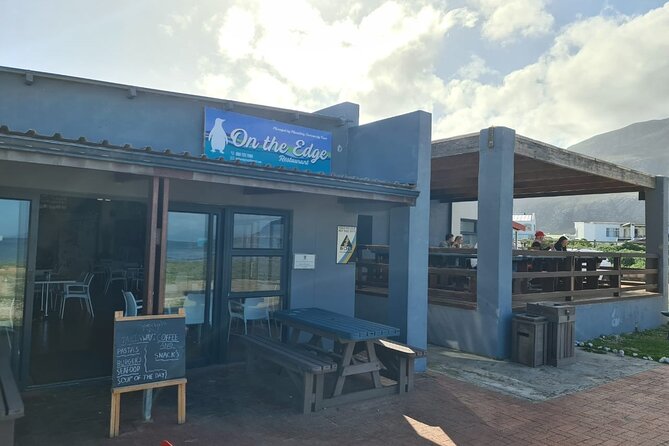 Full-Day Tour Stony Point Penguin Colony at Betty's Bay (up to 10 persons) - The reliability question you should not ignore