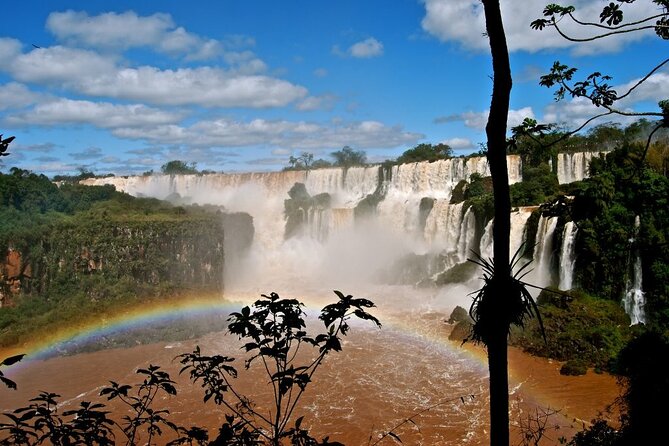 Full Tour to Brazilian Falls + Bird Park ! - The Parque das Aves route, from flamingos to harpies