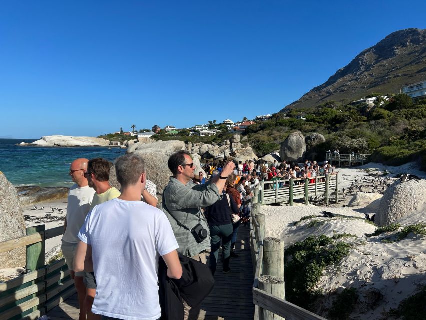 Fully Day Cape Of Good Hope, Penguins, Bo Kaap , Seals Tour - Cape of Good Hope and Cape Point