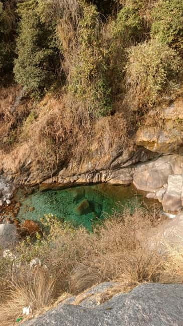 Gallu Waterfalls Hike - Woods, Birds, Nature, River & pool - Through Dharamkot’s woods and mountain air