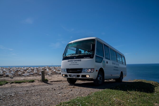 Gannet Safaris Overland tour to Cape Kidnappers Gannet Colony - The value of $61.44 per person