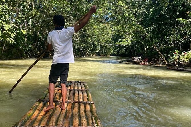 Great River Bamboo Rafting and Bird Sanctuary Combine Tour From Montego Bay - Rocklands Bird Sanctuary and Jamaica’s national bird
