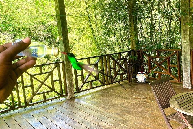 Great River Bamboo Rafting and Bird Sanctuary Combine Tour From Montego Bay - The limestone body massage