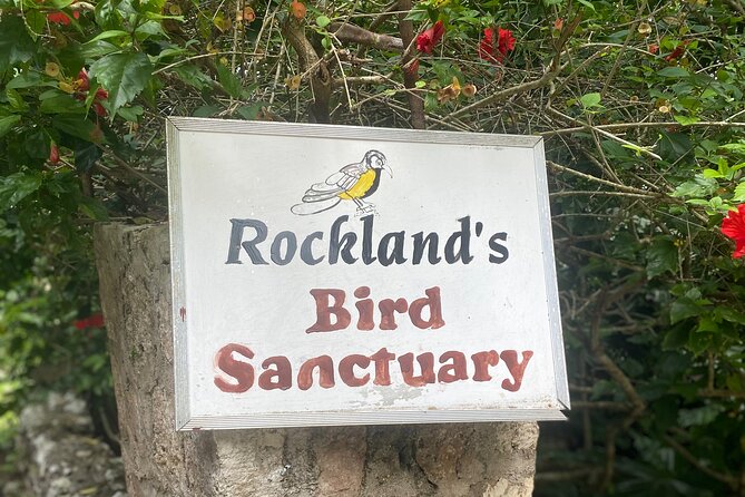 Great River Bamboo Rafting and Bird Sanctuary Combine Tour From Montego Bay - A closer look at the overall value