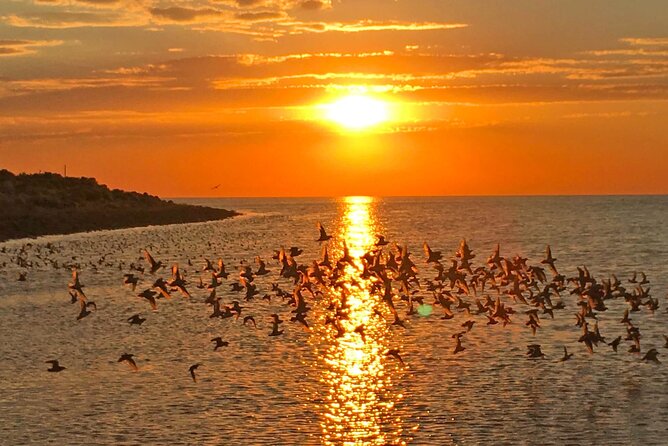 Great Salt Lake Birding and Nature Adventure - What to bring for a better outing