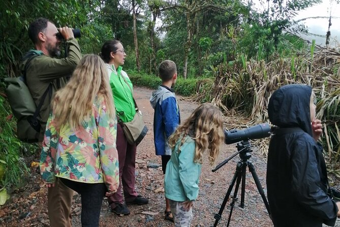 Guided Birding Photography Experience - The first viewing platforms above the forest