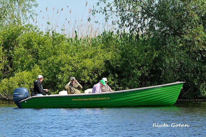 Guided Birdwatching day trip to the Danube Delta - private program - Why the Danube Delta Works Best by Private Boat