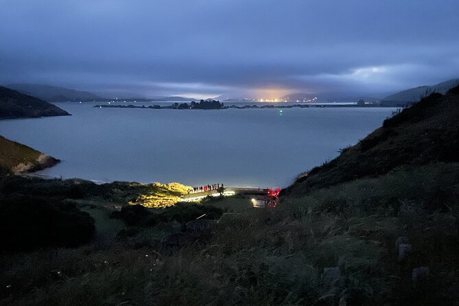 Guided Evening Penguin Viewing Otago Peninsula, Dunedin, New Zealand - The 300-metre route to the viewing platform