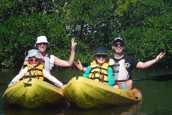Guided Kayak Dolphin Eco Tour in Pelican Bay - Starting from San Carlos Boulevard