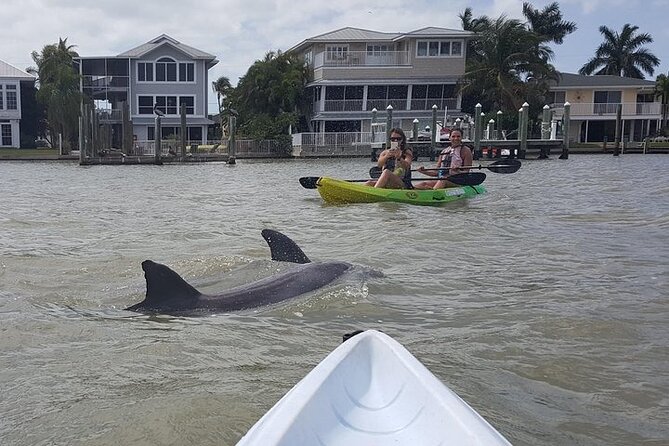 Guided Kayak Dolphin Eco Tour in Pelican Bay - Choosing your route through Pelican Bay