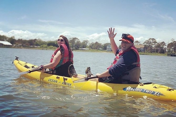 Guided Kayak Tour to see ponies, birds, dolphins and more - The pony question: what you might actually see