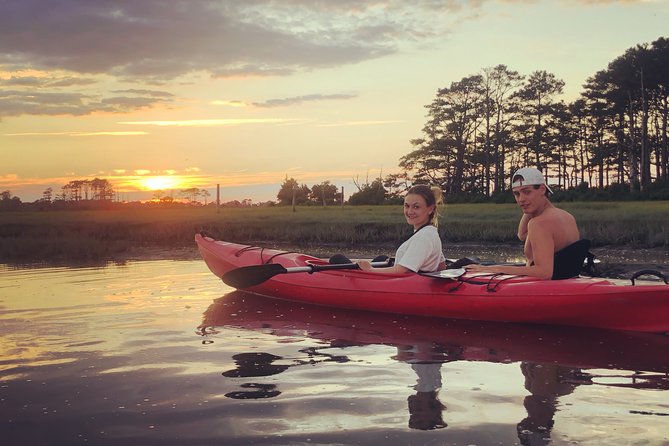 Guided Kayak Tour to see ponies, birds, dolphins and more - How hard is the paddling?