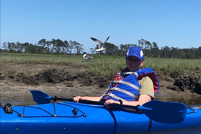 Guided Kayak Tour to see ponies, birds, dolphins and more - A small group changes the experience
