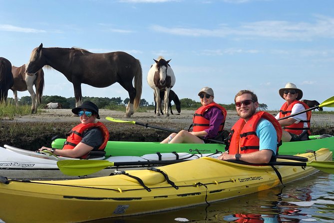 Guided Kayak Tour to see ponies, birds, dolphins and more - Is $75 a fair price?