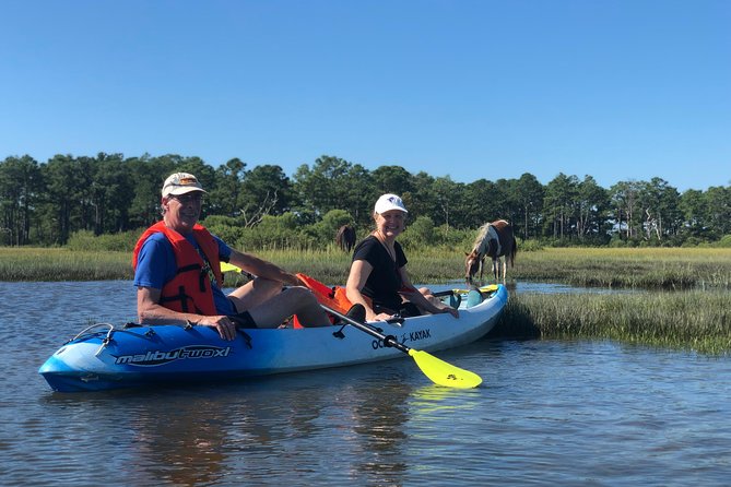 Guided Kayak Tour to see ponies, birds, dolphins and more - Starting at 8:30 a.m. on Chincoteague Island