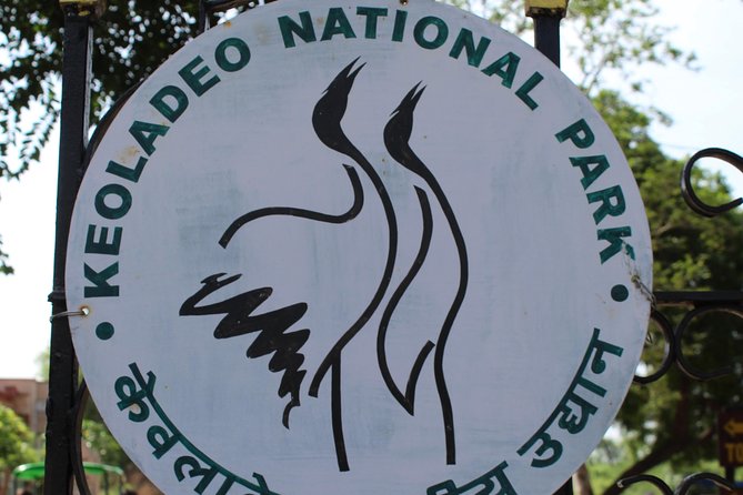 Guided Keoladeo Bird National Park Tour in Bharatpur from Jaipur - Choosing between a rickshaw and a bicycle