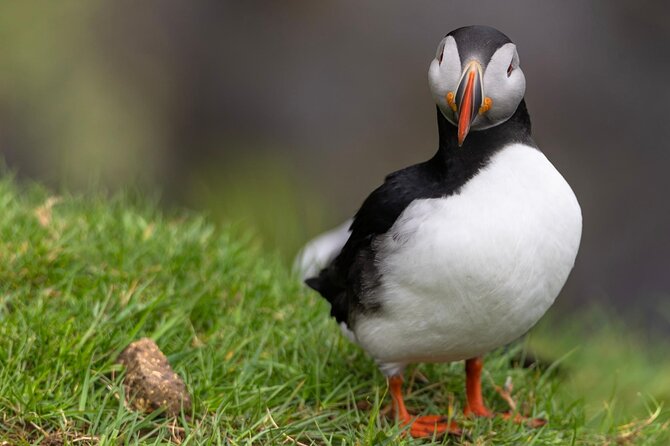 Guided Puffin Safari Boat Tour - Leaving Sørvágur and passing Bøur