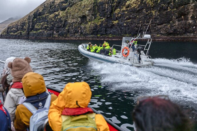 Guided Puffin Safari Boat Tour - What the $103.73 price delivers