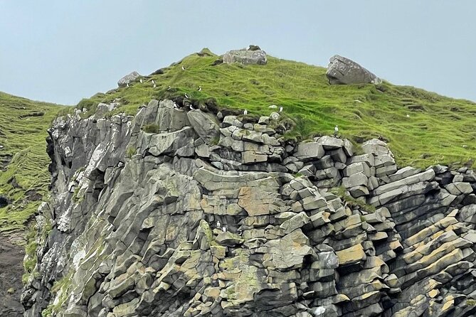 Guided Puffin Safari Boat Tour - Practical details before you reserve