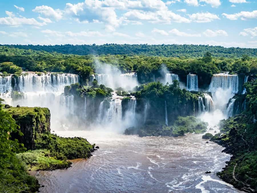 Guided Tour: Brazilian Falls and Bird Park - Starting from Foz do Iguaçu with hotel pickup