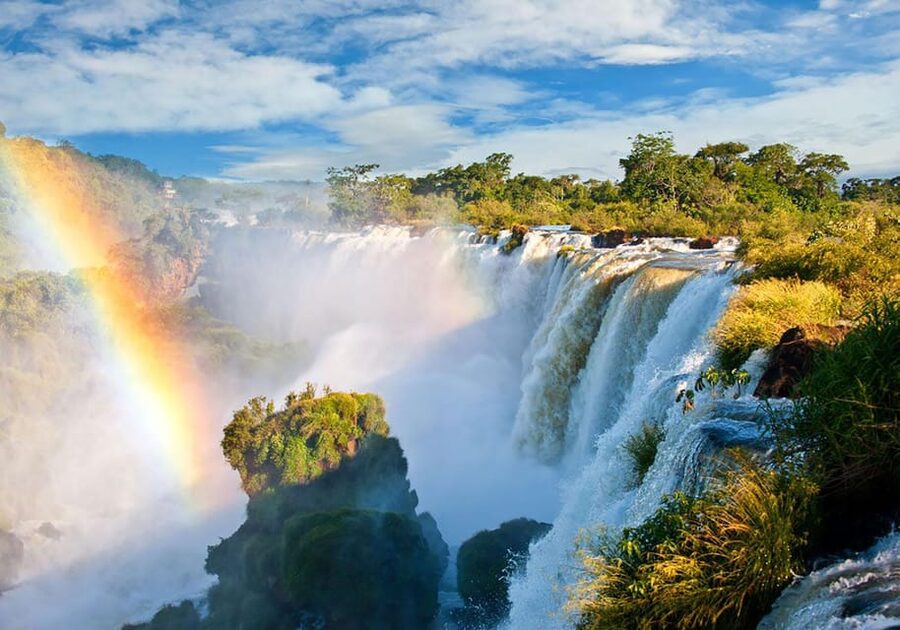Guided Tour: Brazilian Falls and Bird Park - What the guide adds to the experience