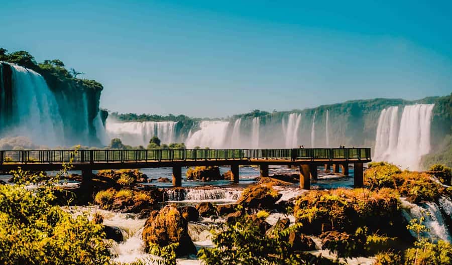 Guided Tour: Brazilian Falls and Bird Park - Practical ways to prepare