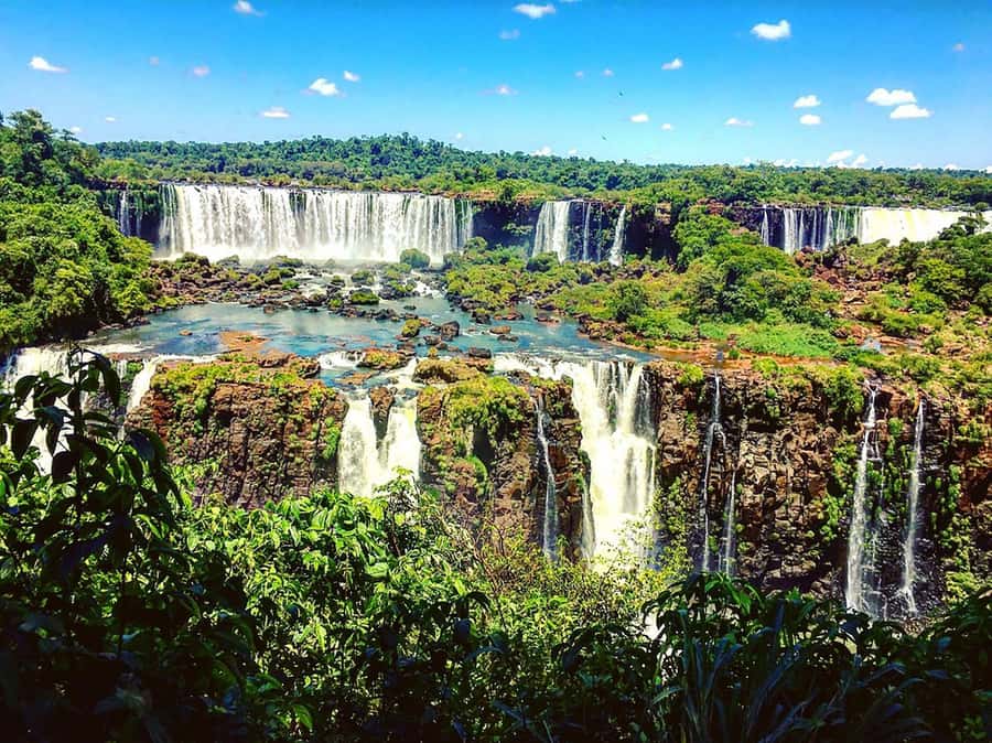 Guided Tour: Brazilian Falls and Bird Park - Walking the Bird Park trails