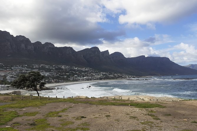 Half day African Penguin Tour - Chapman’s Peak delivers the best road views
