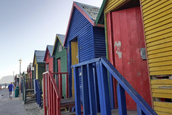 Half day African Penguin Tour - Simon’s Town offers a change of pace
