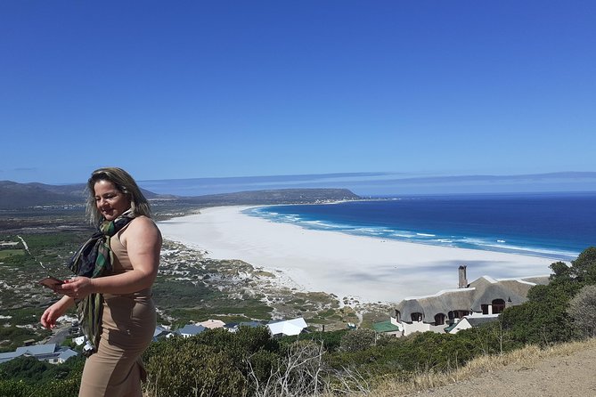 Half day African Penguin Tour - Guides can make this short trip much better