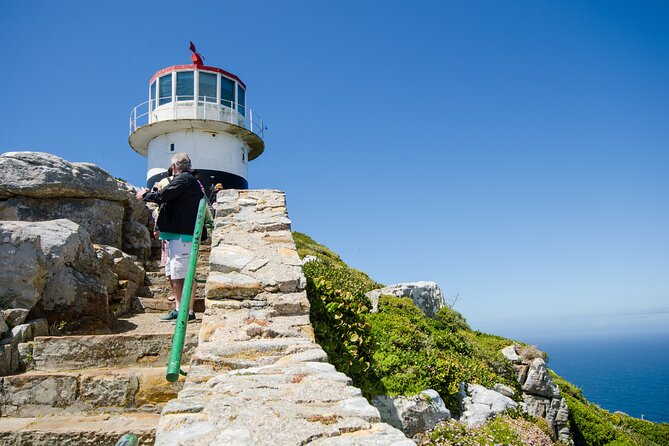 Half day am or pm Boulders Beach & Penguins with visit to Cape Point Great tour - A small group changes the feel of the day