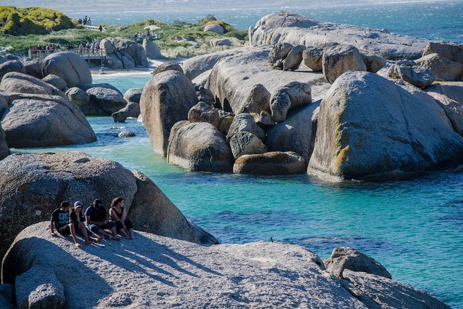 Half day am or pm Boulders Beach & Penguins with visit to Cape Point Great tour - Morning or afternoon, which should you choose?