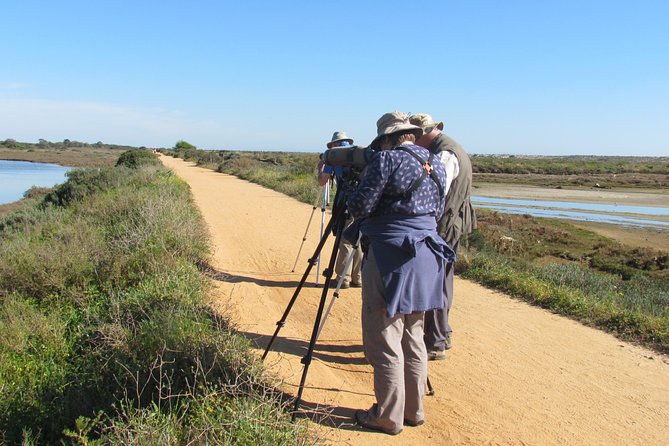 Half-day birdwatching around Faro - Key points at a glance