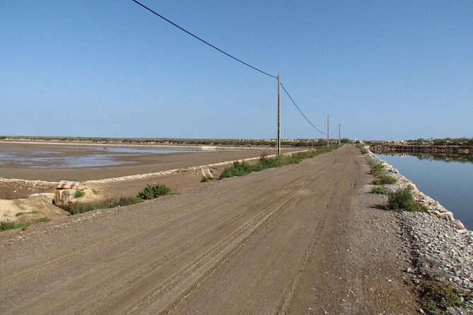 Half-day birdwatching around Tavira - What Gui adds to the experience