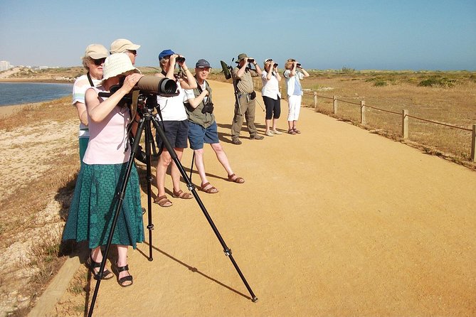 Half-day birdwatching at Alvor dunes - Key points at a glance