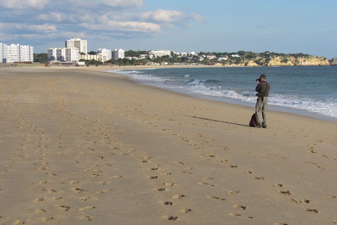 Half-day birdwatching at Alvor dunes - The three-hour route and what to expect