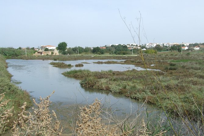 Half-day birdwatching at the Abicada marshed - What the 7:00 am start gives you