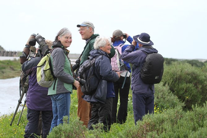 Half-day birdwatching at the Abicada marshed - Using the telescope to find distant birds