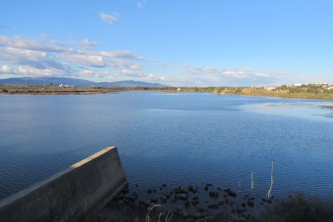 Half-day birdwatching at the Abicada marshed - Is $56.83 a fair price?