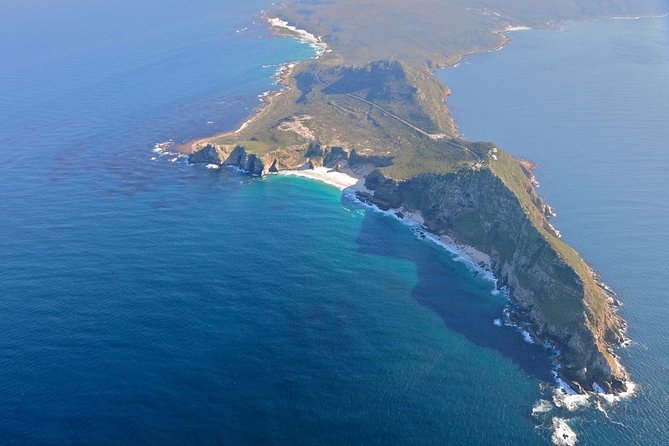Half day Cape Point Sightseeing Tour with Penguins from Cape Town - The guide can shape the whole morning
